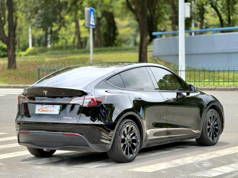 Tesla Model Y, 2022 — фото 6 из 12