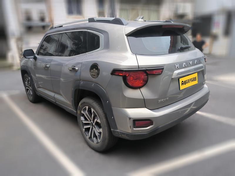 Haval H-Dog, 2023 — фото 6 из 12