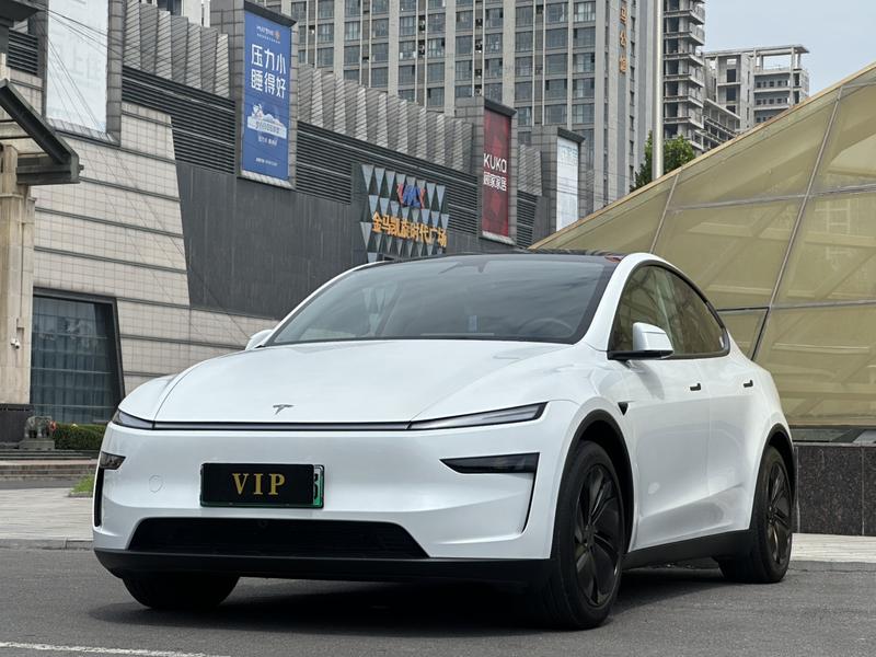 Tesla Model Y, 2025 — купить в Ижевске под ключ