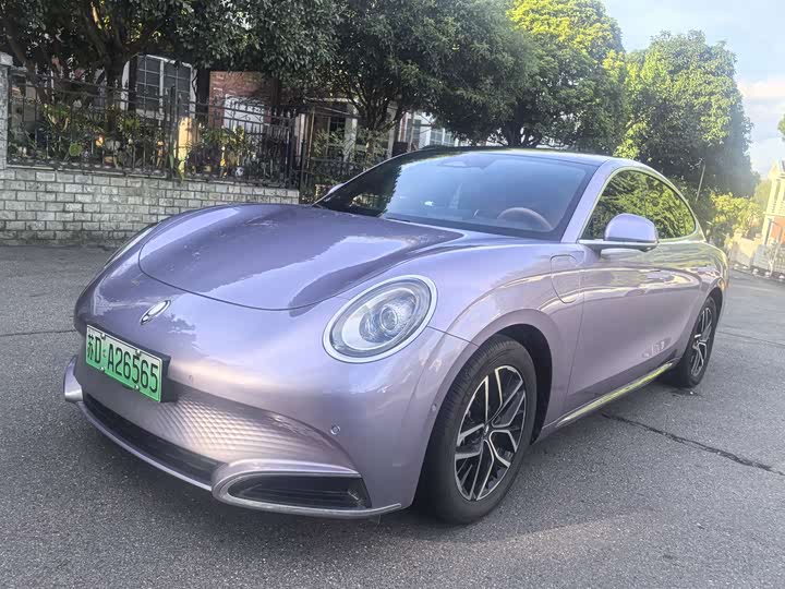 Ora Lightning Cat (07), 2023 — купить в Оренбурге под ключ