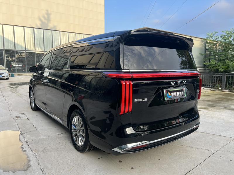 Wey 80 Hybrid, 2025 — фото 4 из 12