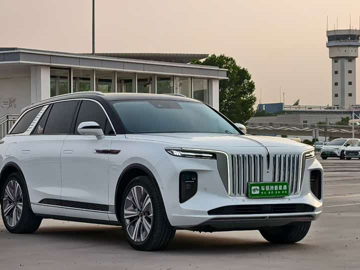 Hongqi E-HS9, 2022 — фото 3 из 9