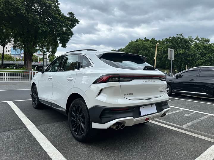 Dongfeng Forthing T5 EVO, 2024 — фото 4 из 9