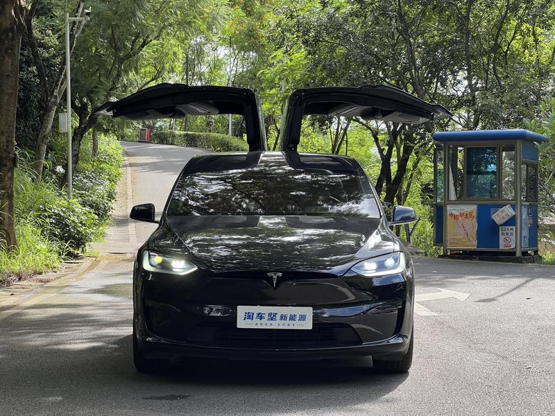 Tesla Model X, 2023 — фото 2 из 11