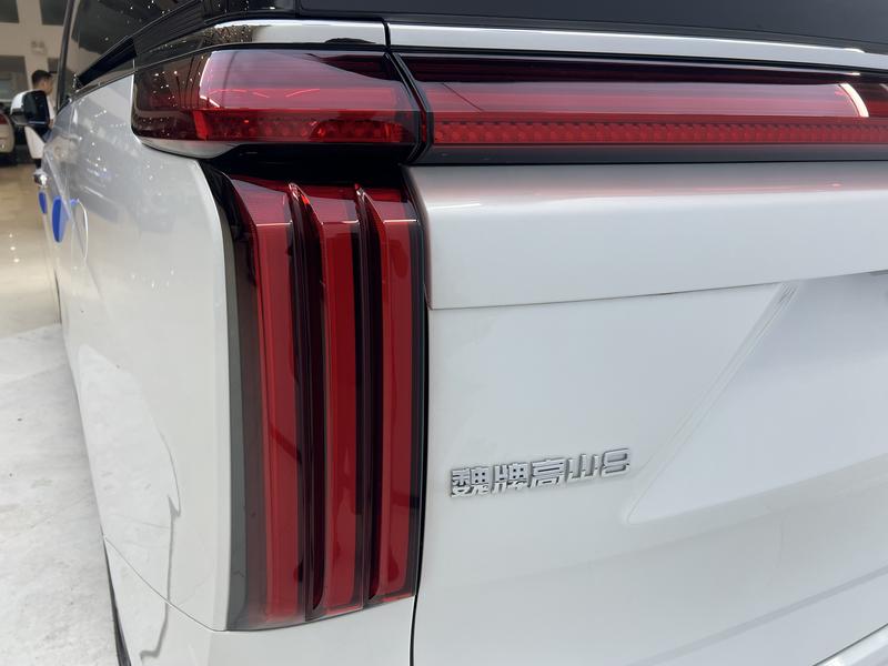 Wey 80 Hybrid, 2025 — фото 8 из 12