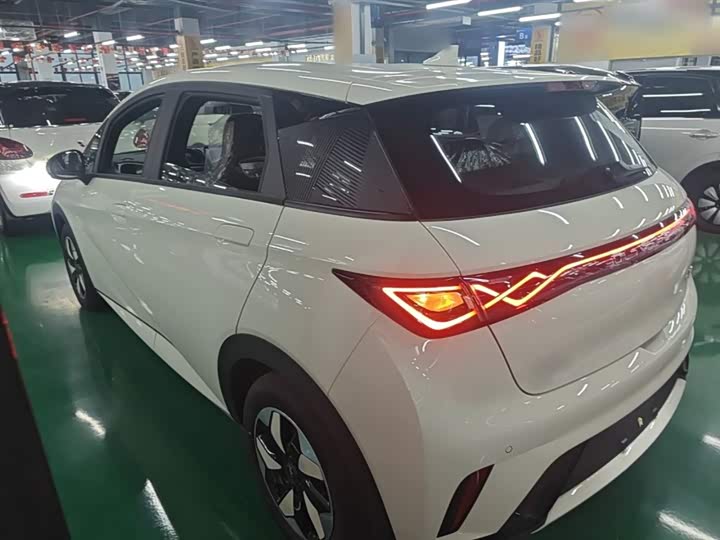 BYD Dolphin, 2026 — фото 5 из 9