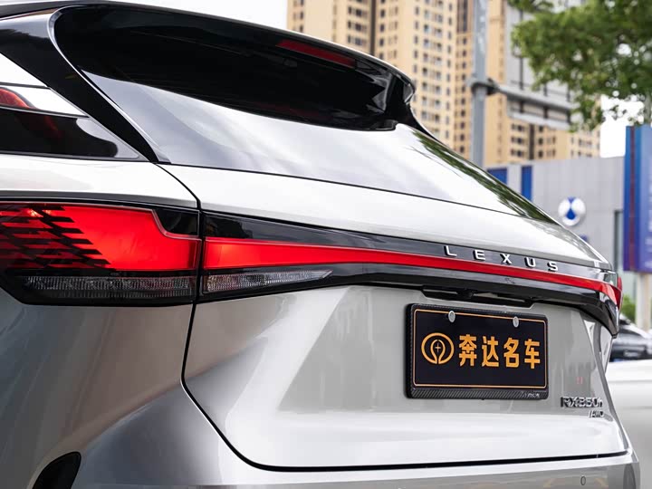 Lexus RX, 2023 — фото 7 из 9