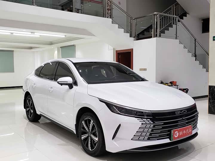 BYD Destroyer 05, 2023 — фото 3 из 9