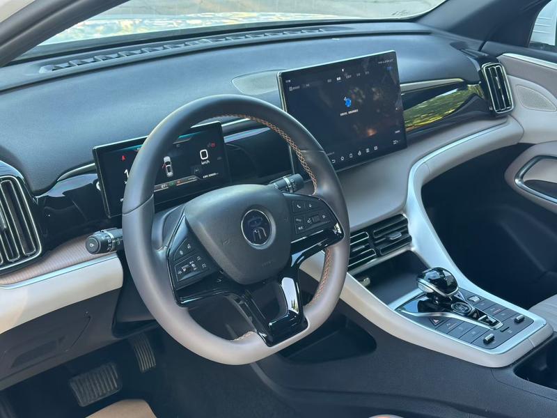 BYD Song Pro Hybrid, 2024 — фото 8 из 9