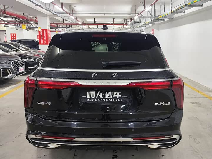 Hongqi E-HS9, 2023 — фото 8 из 9