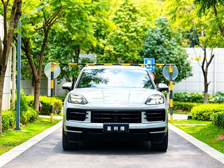 Porsche Cayenne, 2023 — фото 3 из 9