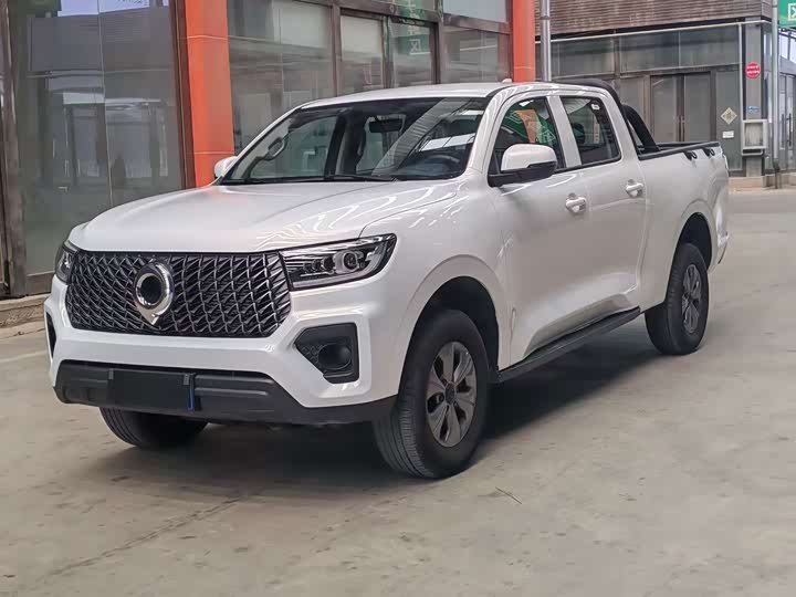 Great Wall Pao, 2024 — купить в Саранске под ключ