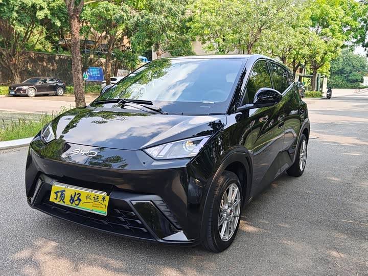 BYD Seagull, 2024 — купить в Оренбурге под ключ