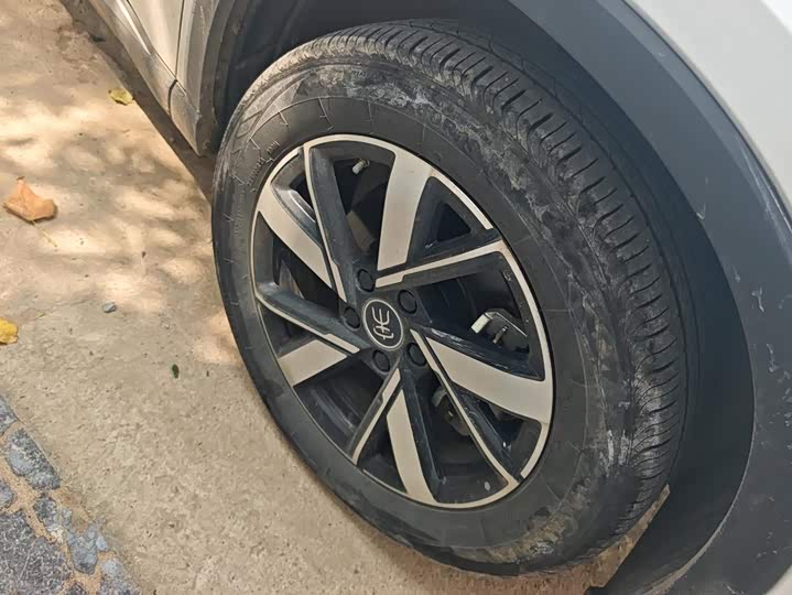 BYD Song Pro Hybrid, 2024 — фото 6 из 9
