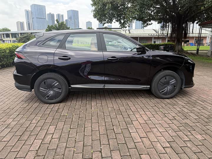 Dongfeng Forthing Xinghai X5, 2025 — фото 8 из 9