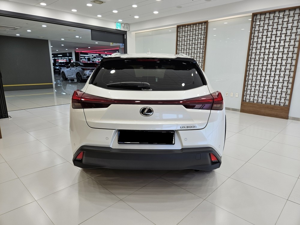 Lexus UX, 2024 — фото 4 из 12