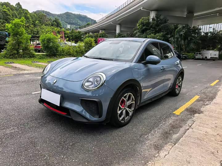 Ora Good Cat GT (03 GT), 2022 — купить в Санкт-Петербурге под ключ