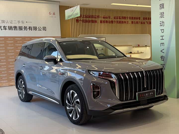 Hongqi HS7 Hybrid, 2024 — фото 8 из 9