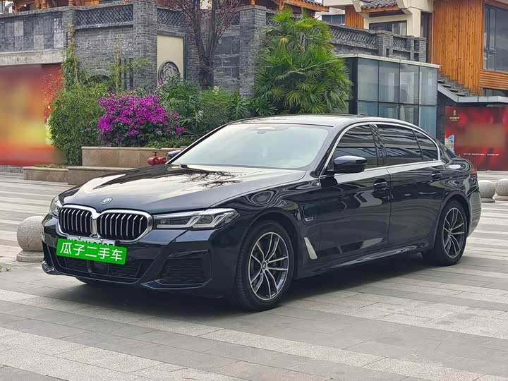 BMW 5 Series Hybrid, 2022 — фото 2 из 9