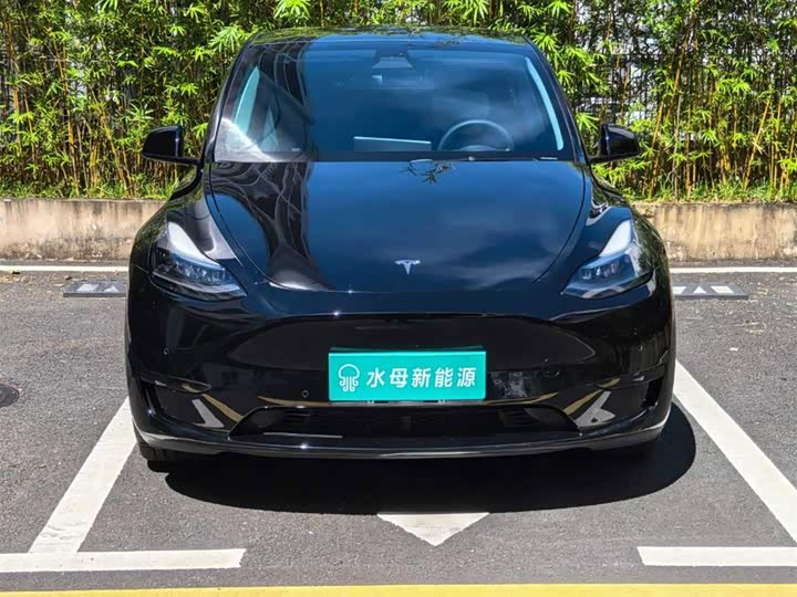 Tesla Model Y, 2022 — фото 2 из 9