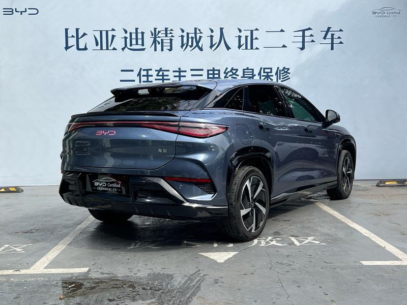 BYD Sea Lion 07 EV, 2024 — фото 5 из 12