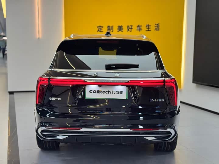 Hongqi E-HS9, 2023 — фото 6 из 9