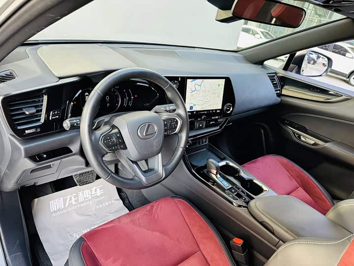 Lexus NX, 2024 — фото 9 из 9