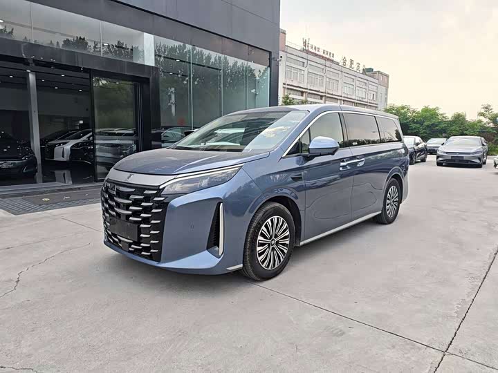 BYD Xia, 2025 — купить в Тольятти под ключ