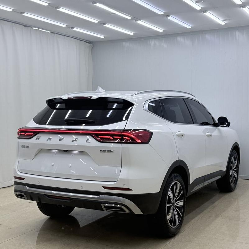 Haval H6, 2024 — фото 6 из 12