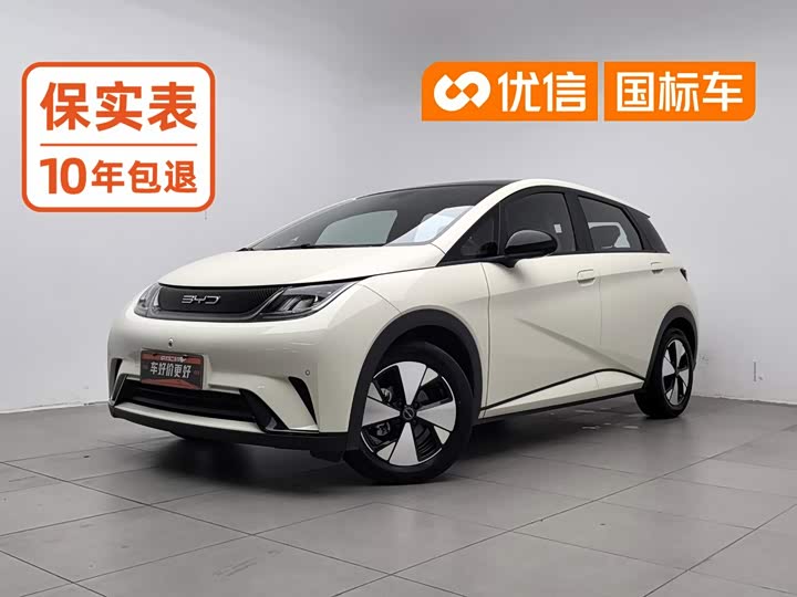 BYD Dolphin, 2023 — купить в Саратове под ключ