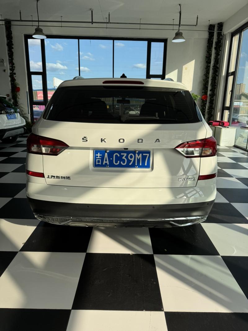 Skoda Kamiq, 2023 — фото 4 из 12