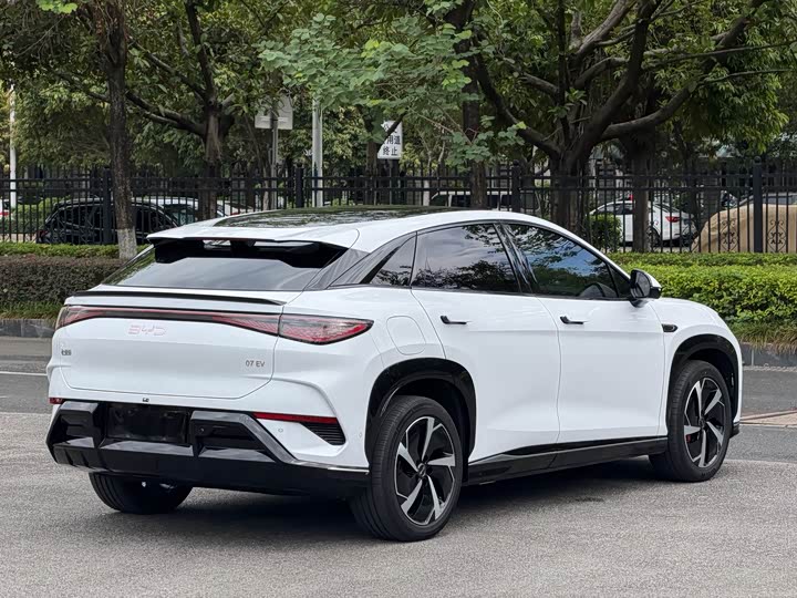 BYD Sea Lion 07 EV, 2024 — фото 4 из 9