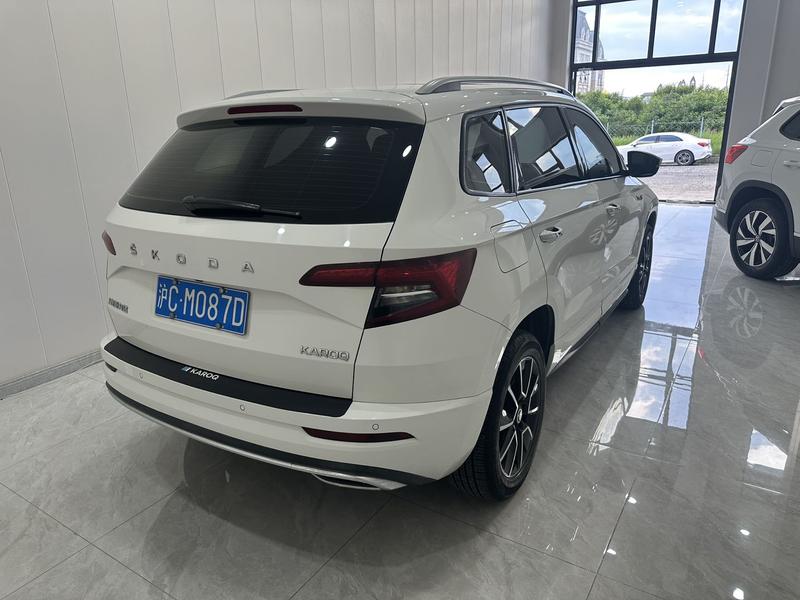 Skoda Karoq, 2023 — фото 6 из 12