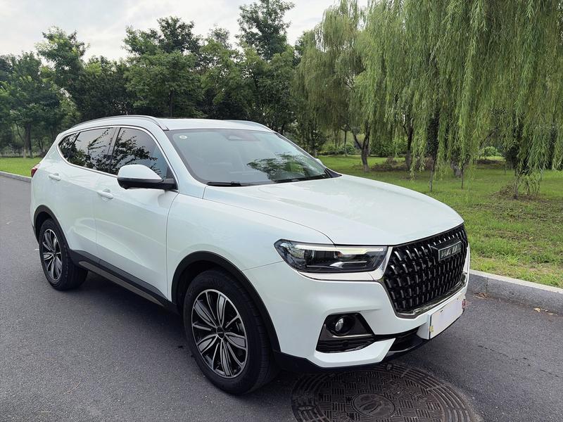 Haval H6, 2023 — фото 3 из 12