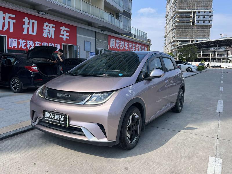 BYD Dolphin, 2022 — купить в Ульяновске под ключ