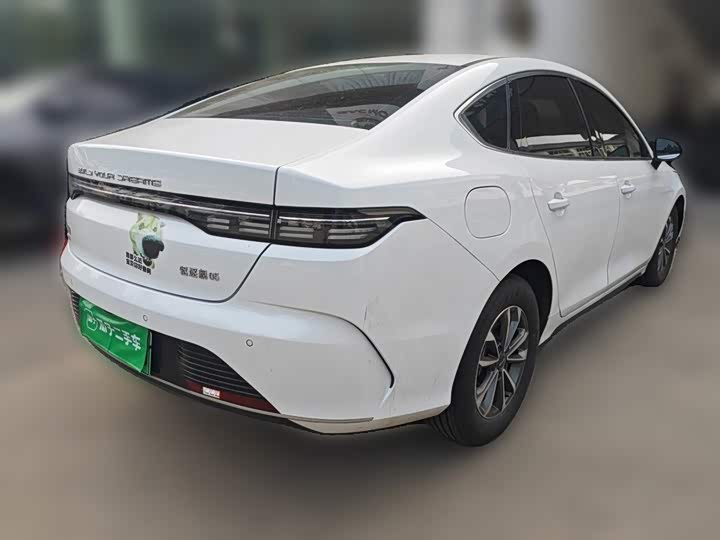 BYD Destroyer 05, 2023 — фото 4 из 9