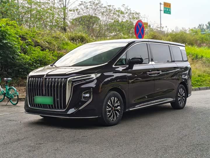 Hongqi HQ9 Hybrid, 2023 — фото 2 из 9