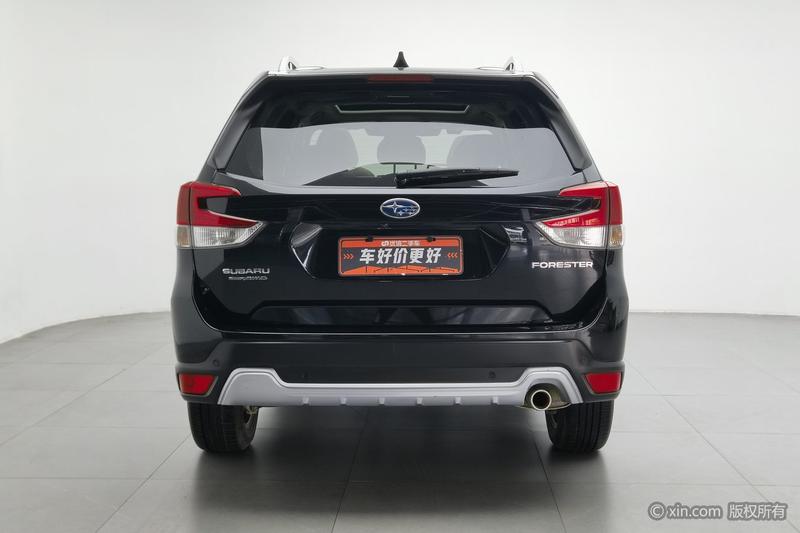Subaru Forester, 2024 — фото 3 из 12