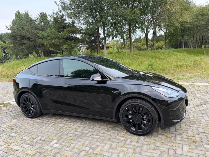 Tesla Model Y, 2022 — фото 4 из 9