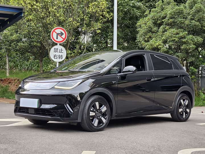 BYD Dolphin, 2025 — купить в Орле под ключ