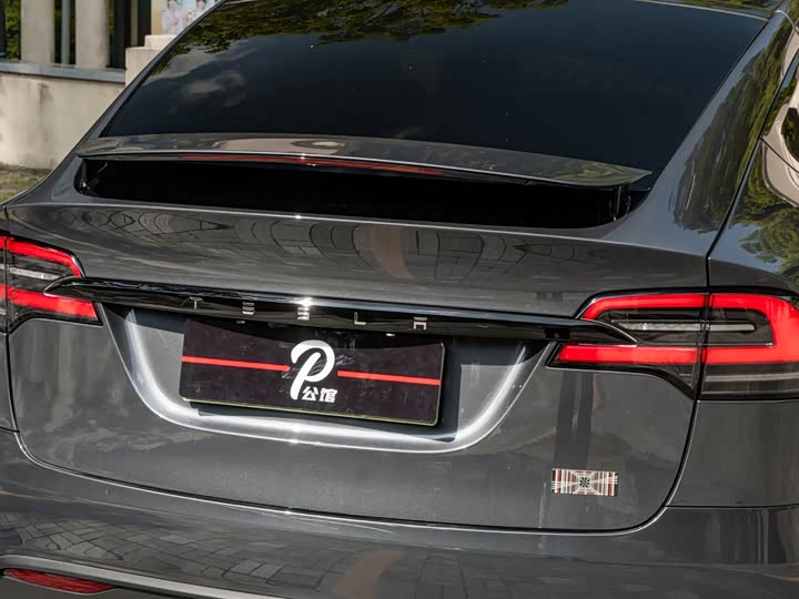 Tesla Model X, 2024 — фото 8 из 9