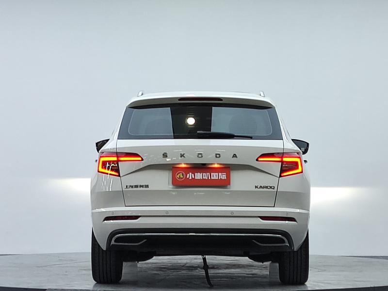 Skoda Karoq, 2023 — фото 6 из 11