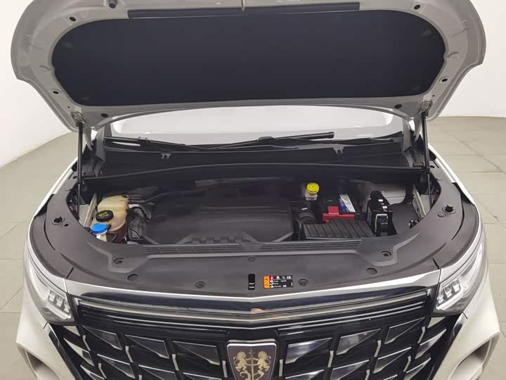 Roewe iMax 8, 2023 — фото 6 из 9