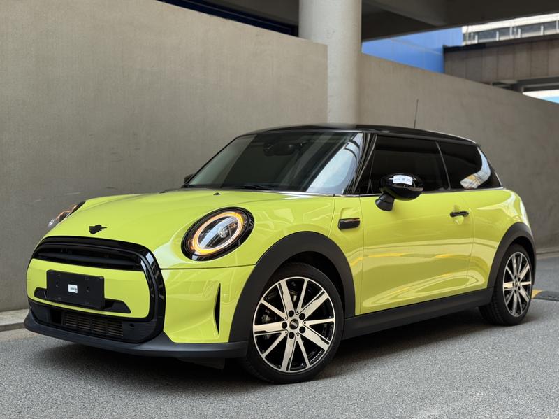 Mini Mini, 2022 — купить в Белгороде под ключ