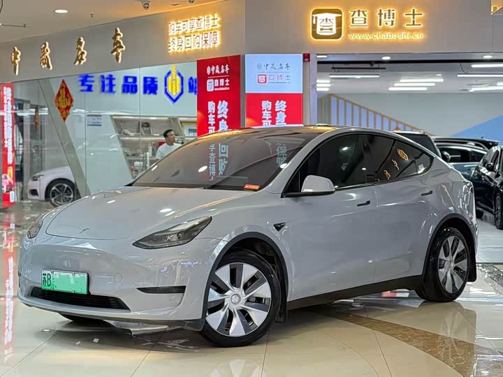 Tesla Model Y, 2021 — фото 2 из 9