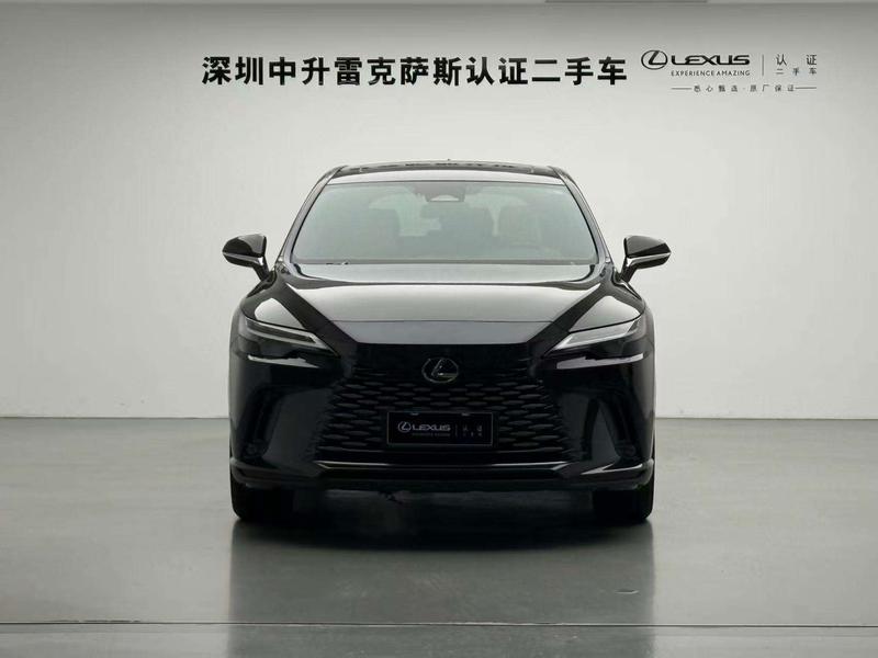 Lexus RX, 2025 — фото 2 из 10