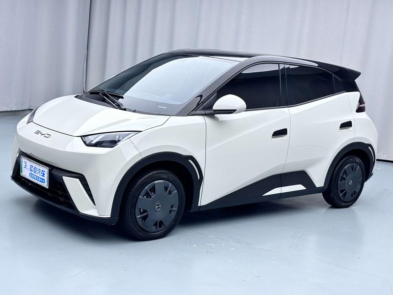 BYD Seagull, 2023 — купить в Самаре под ключ