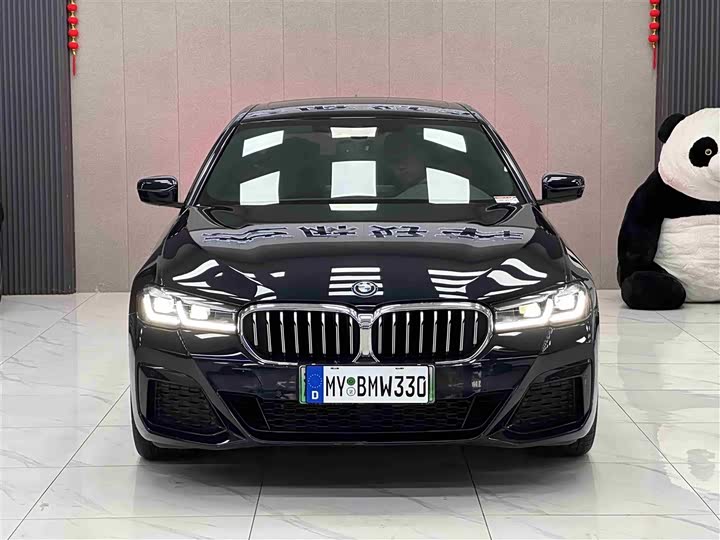 BMW 5 Series Hybrid, 2023 — фото 2 из 9