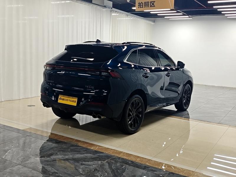 Dongfeng Forthing T5 EVO, 2022 — фото 7 из 12