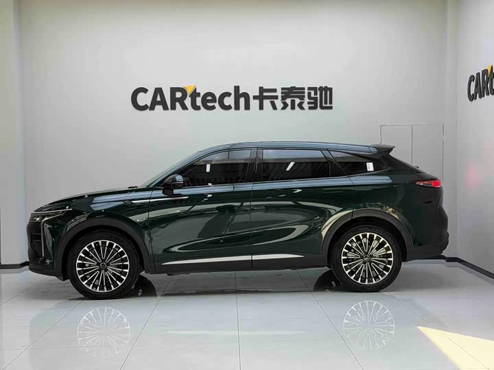 Exeed RX C-DM Hybrid, 2024 — фото 7 из 9